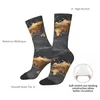 Chaussettes masculines 147 Gold Black Harajuku Sweat Absorbing bass All Season Long Accessoires pour les cadeaux unisex