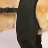 Appareil de chien Support de jambe Autonctionnelle Souchée de genou étouffe la hanche à articulation gâterie flexible pour les petits chiens moyens