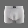 Sous-pants du boxeur Boxer grand sous-vêtements masculin Couleur continue modale modale Boxer bambou fibre