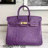 Totes Handbag Platinum Brand Ostrich South Africa Kk Womens 25h Purple Sewn Wax Thread Genuine Leather