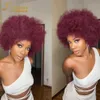 Joedir Brazilian Remy Hair Afro Kinky Curly Culk Human Hair для плетений дреды волосы вязание крючком волосы 10-22 240423