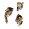 Set Sticker Sticker Sticle de toilette mignon 3D Cat de salle de bain Sticker 3D Stickers muraux Animal ACCESSOIRES WC AMUS