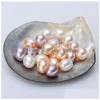 Pearl New Diy Elliptical High Light Half A Hole White Pink Purple Natural Fresh Water Pearl 5-7Mm Loose Beads Of Wholesale Drop Delive Dhtpc