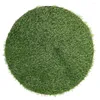 Decoratieve bloemen Mangatafdekking Decoratie Lawn Dining Tafel Fake Grass Turf Round voor eetaccessoires Plastic gesimuleerde mat