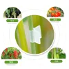 Film 100Pcs Gardening Special Grafting Clamp Tomato Grafting Clamps Vegetable Eggplant Grafting Clamp Garden Plant Accessories