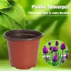 Dekorasyonlar 50/20pcs Plastik Flowerpots Basit Kreş Fidelik Çiçekleri Tohum Tohum Yetiştiricileri Konteyner Kutusu Bahçe Malzemeleri Aracı