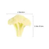 Fleurs décoratives Modèle de chou-fleur Simulation Broccoli Faux Slice Plastique Faux Fruits et légumes