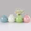 Vasi 1pc mini colorato vaso di fiori in ceramica fioriera decorativa decorazione di fiori di casa decorazioni per ufficio