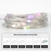 10m DC5V WS2812B LED String Party Party Birthday Lights Decoration BT Music Control Room Decor LED Light Outdoor Imperproof IP67