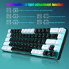 68 toetsen mechanisch toetsenbord ergonomie RGB LED -swappable blauwe schakelaar gaming toetsenbord voor pc -laptopkantoor 240429
