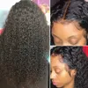 26 inch Natural Color Kinky Curly Lace Front Long Curly Wig Haarpruiken voor zwarte vrouwen Maleisische 150% Dichtheid Remy Pruiken naadloos