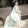 Etnik Giyim Yaz Yeni Ming Hanedanlığı Hanfu Kadın Yetişkin Kostüm Çin Fengchaoksian Ağır Sanayi Nakış Bijia Uzun Gömlek Bel Ru Etek