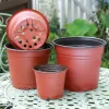 Dekorationer 50/20st plastflaror Krukor Enkel plantor plantor Pot Flowers Seed Breeding Planters Container Box Garden Supplies Tool Tool