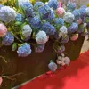 Flores decorativas de alta qualidade Hydrangea Branch Artificial Flower Wedding Pogra Fake for Birthday Party Home Tabel Decoration