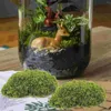 Fleurs décoratives 12 pcs Greenary DIY Artificial Moss Stone Fake Moule Rock Giai Imitated Mossy Decor Garden réaliste