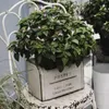 Plantadores Pots Caixa de correio quadrada Caixa de flores Branca de estilo retrô de metal produtos de ferro montado na parede Móveis para casa Courtyard Garden Decoração Q240429