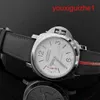Nice orologio da polso Panerai Luminor Series 44 mm di diametro automatico meccanico Athleisure Business Luxury orologio PAM01342 Acciaio