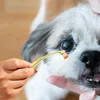 Abbigliamento per cani booger booger rimozione del pennello applicatore ergonomico per occhi manico comodo segni di lacrima per animali domestici pulire il pettine