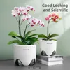 Planters potten mesh pot orchidee pot met gaten die worden gebruikt om dubbele laag plastic keramiek als planten bij te vullen die goede luchtcirculatie bieden Q240429
