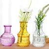 Vasi 1pc Desktop Desktop Decorazione in rilievo in rilievo trasparente e bottiglia vegetale mini vetro acquatico in rilievo europeo