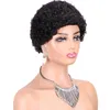 Pixie Cut Wigs for Black Women Short Afro Curly Human Hair Wigs for African American Brazilian Virgin Hair Afro Wigs Glueless Full Machine Made Wigs