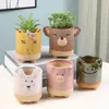Piantatrici vasi di ceramica pianta carnosa invartina armato da vaso di rame contenitore simpatico per maiale animale fiore decorazione del desktop q240429