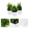 Decorative Flowers 3 Pcs Simulated Potted Plant Fake Plants Artificial Adornments Decors Small Bonsai