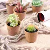 Decorative Flowers Simulated Succulents Office Desk Decorations Mini Artificial Fake Plants Potted Coffee Book Table DIY Materials For Vase