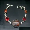 Zincir Bağlantı Bilezikleri Deniz Baltık Amber Kırmızı Garnet Sier Renk Takımları Kadınlar İçin Bağlantılar 7.75 inç Damla Teslimat Takı DHGJQ