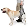 Cablatura per il sollevamento del cane per cani di grandi dimensioni imbottiti con gamba posteriore per cane imbottibile morbido imbottito per le lesioni per giunti vecchi disabili.