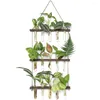 Vaser vägg hängande teströr avtagbar enkel 3 -lagad växtutbredningsstation för rumskontorsbalkong beige
