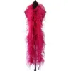 Ostrich Feather Boa Vintage 6 8 10 15 20 Ply 150 cm Länge natürlicher Strauß Federschaltrimming für Kostümkleidung Dekor 240417