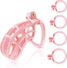 Mannelijke kuisheid Device Cock Cage -Large Plastic Kuisheid Cage voor man Penis Oefening 3D Gedrukte bondage Gear Accessoires Lichtgewicht Zekspeelgoed voor volwassenen met