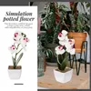 Fleurs décoratives fleur artificielle phalaenopsis faux bonsaï ornée simulée orchidée fausse en pot