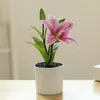 Decorative Flowers Artificial Interior Decoration Bright S Plastic Potted Plant Exquisite Workmanship Product Name Production Batches