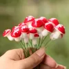 Decorazioni pezzi Mini Mushroom Miniature da giardino artificiale Fairy Bonsai pianta pianta decorazione artigianale per la casa Micro paesaggio fai -da -te