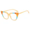 Sonnenbrille Ins Cat Eye Kombination Farbe Antiblau -Licht Brille Rahmen Mode Frauen Retro flacher Spiegel Personalisiertes Rezept