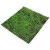 Fiori decorativi simulato moss prato di erba artificiale micro scena layout therf tampone tappeti tamponi falsi