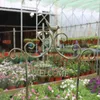 Piantatrici di vasi fatti a mano decorazione da giardino di benvenuto segnale di fiori retro metallico Q240429