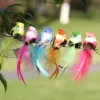 Décorations 6pcs Birds artificiels mignons faux mousse pour animaux simulation de plumes modéliques de plumes