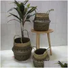 プランターポット竹保管バスケット折りたたみ式ランドリープランターSTWARK WIKER RATTAN SEAGRASS BELLY GARDAN OLLE POT HANDMADE DROP DHT9I