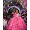 Quinceanera Dresses Pink Organza Pageant for Little Girls Halter 3D Floral Flower Flower