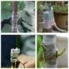 Film 2/3/4cm Grotting Tape Film Selfadhesive Portable Garden Tree Planten Zaailingen Roosters Fruitboom