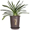 Planters potten orchideespecifieke bloemenpot parelvormig vast plastic ademende donkerblack orchidee met lade Q240429