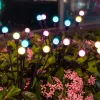 Dekoracje światła słoneczne na zewnątrz Firefly światło Wodoodporne LED LED Lampa słoneczna Sweying Light House Terrace Balkon Yard Lampa