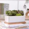 Planters POTS 1 Uppsättning av minsta storlek Rektangulär vit keramisk adsorption Växtpotten Tablettblomma Zakka Hemdekoration (1 POT+1 TRAY) Q240429