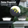 Décorations tsunrise 1pc / 2pc / 4pcs clôture légère de clôture de lumière IP65 lampe solaire extérieure pour décoration de jardin
