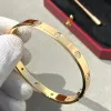 Schroefarmband ontwerper trendy bangle mode luxe joodse joodse titanium staal 18K vergulde diamant voor vrouwelijke man nagelarmbanden zilveren klassieke designer sieraden