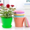 Decoraties Flower Pot Round Planters Snoepkleur Succulenten Plant Pot Office Desktop Balkon Home Garden Decoratie Outdoor Pot 5 Maten