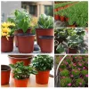 Dekorasyonlar 50/20pcs Plastik Flowerpots Basit Kreş Fidelik Çiçekleri Tohum Tohum Yetiştiricileri Konteyner Kutusu Bahçe Malzemeleri Aracı